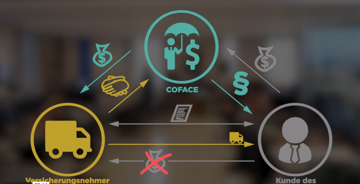 Infografik über Kreditversicherung